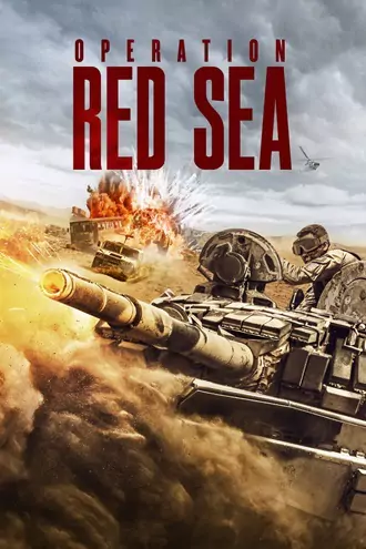 Download Operation Red Sea | 2018 | Hindi-English | Dual Audio | BluRay | Full Movie 480p 720p 1080p Download Operation Red Sea | 2018 | Hindi-English | Dual Audio | BluRay | Full Movie 480p 720p 1080p